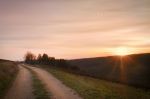 Chemin des Vignes Blanches 2352-c.jpg